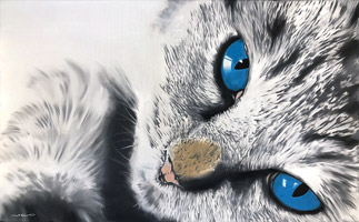Oknka do koi due (80x50 cm)