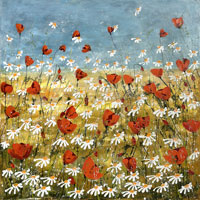 Makov pole (70x70 cm)