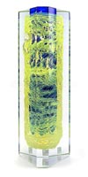 Vza (vka 33 cm)