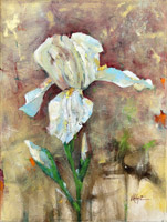 Iris bianco (30x40 cm)