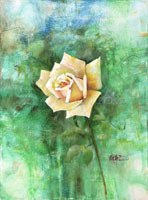 Yellow Rose (30x40 cm)